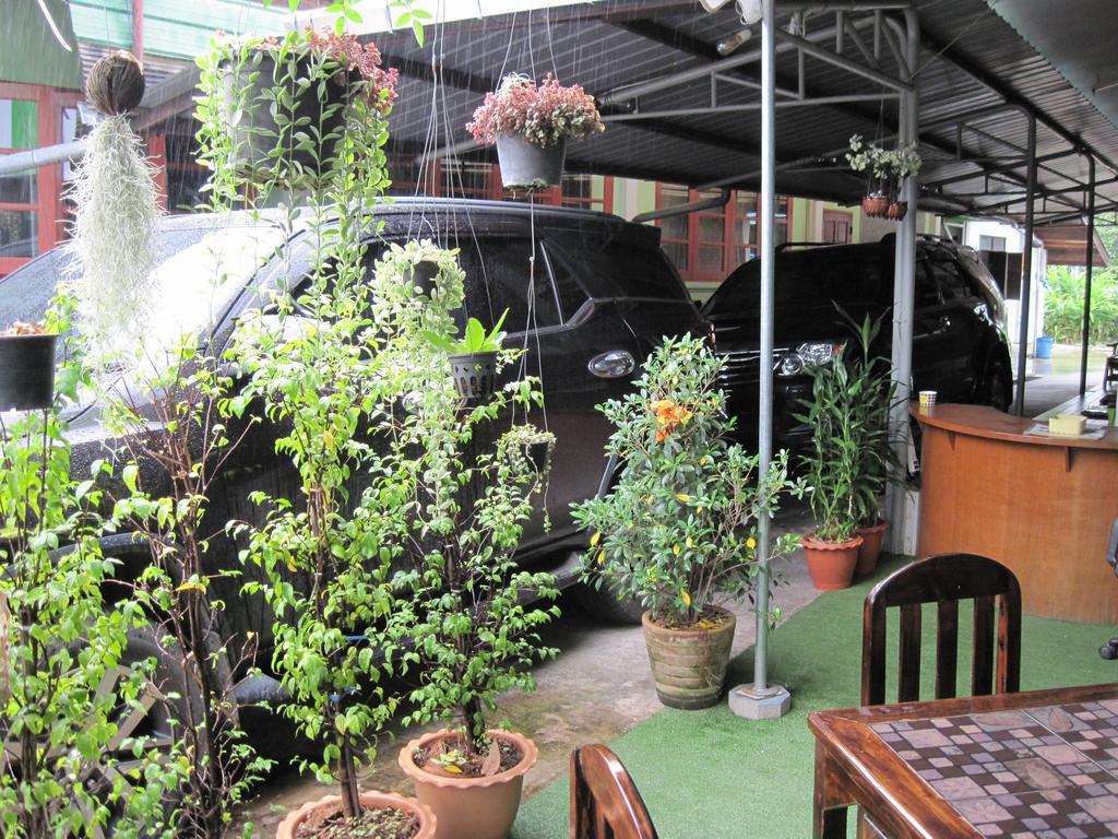 Sakura House Vandrarhem Chiang Mai Exteriör bild